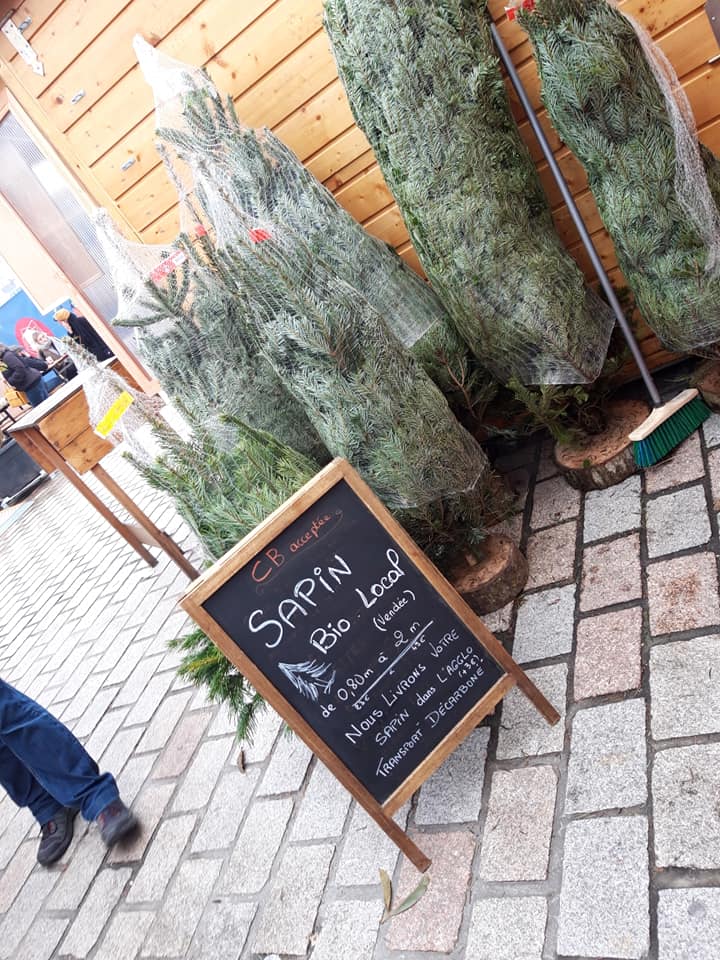 Sapin de Noël bio (Nordmann)